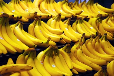 https://xtopia-1258297046.cos.ap-shanghai.myqcloud.com/Bananas.jpg